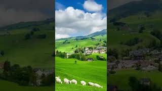 Switzerland🇨🇭#switzerland #appenzeller#greenfields#switzerland _desstinations#weissbad#appenzell