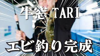 【TARI】すくすく育ったオニテナガエビ！エビの釣り堀完成！！