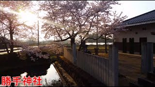 勝手神社（伊賀市山畑）