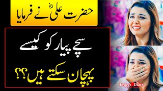 Love : Hazrat Ali (R.A) Ka Farman || Hazrat Ali  ka waqia | Best Aqwal E Zareen Hazrat Ali In Urdu