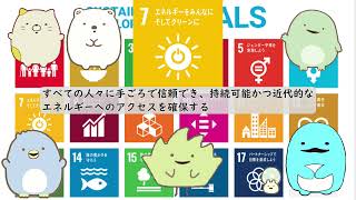 SDGs（持続可能な開発目標）7．エネルギーをみんなに そしてクリーンにすべての人々に手ごろで信頼でき、持続可能かつ近代的なエネ ルギーへのアクセスを確保する