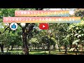 タンディン教会〜レバンタム公園を歩く！【ホーチミン散歩】vlog 6