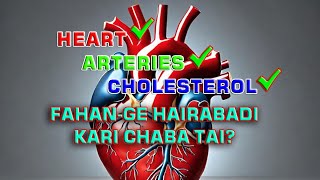 Heart✅Arteries✅Cholesterol✅  Fahan-ge Hairabadi kari Chaba Tai? #health