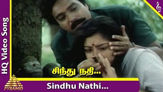 Sindhu Nathi Semeene Video Song | Ponnumani Movie Songs | Karthik | Soundarya | Ilaiyaraaja