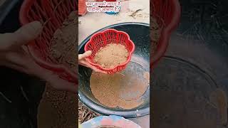 क्या आपको लगता है गार्डनिंग आसान है?||#gardening#shortsfeed #viralshorts #youtubeshorts#viralvideo