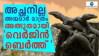 Parthenogenesis |  പാർത്തനോജെനസിസ്’..ഗര്‍ഭിണിയായ കന്യക എന്നതാണ് ഇതിന് അര്‍ത്ഥം വരുന്നത്