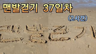 맨발걷기 37일차 11.20(월) / 10도에 갯벌어싱 최고