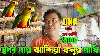 শ্রীরামপুরের সেরা বিদেশী পাখির এভিয়ারি💥। Best Quality Jenday Conure Bird Pine Apple Conure Bird