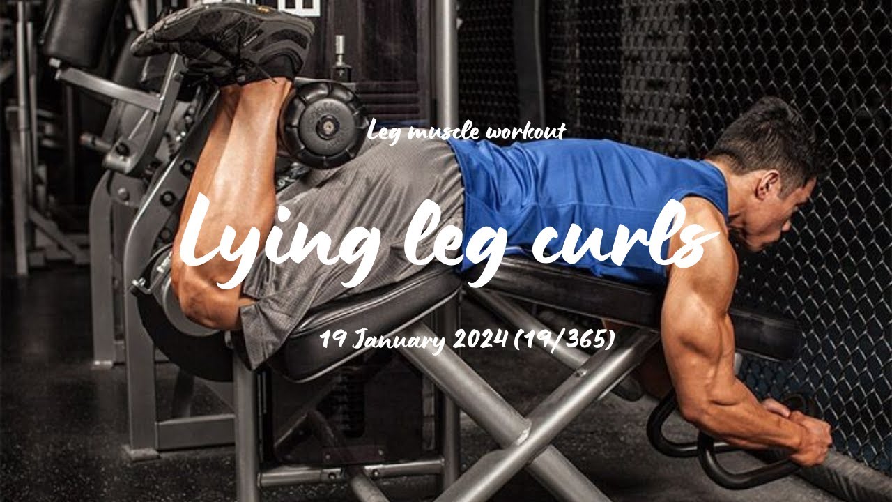 Lying Leg Curls Hamstrings Muscles Youtube