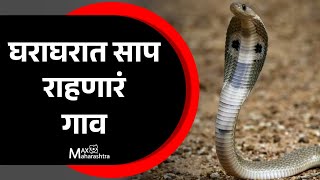 घराघरात साप राहणारं गाव | Snake Lives without Fear in peoples home | Snake's Village | Special Story