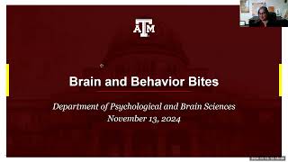 November 2024 Brain and Behavior Bites