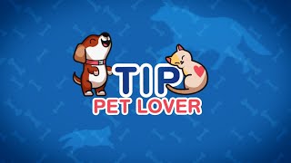 ประกันภัยสัตว์เลี้ยง TIP Pet Lover | ความคุ้มครองและบริการที่เข้าใจคนรักสัตว์เลี้ยง