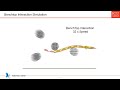 towards a physics based model for steerable eversion growing robots ieee ra l 2023