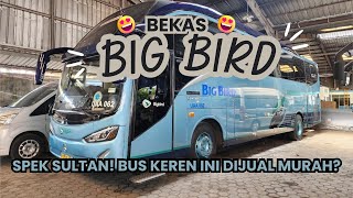 RELEASE | Bus Bluebird dijual? Ini Review dan Kondisi Terupdate, Simak Review disini!