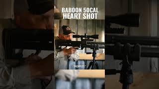 Ever seen a BABOON shot with a 50BMG?!? Link in description!
