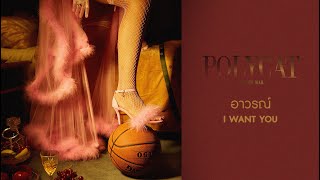 POLYCAT - อาวรณ์ | I Want You [Official Audio]