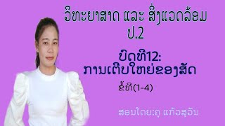 ວິທະຍາສາດ ແລະ ສິ່ງແວດລ້ອມ ປ.2 ບົດທີ 12 ການເຕີບໃຫຍ່ຂອງສັດ || ສອນໂດຍຄູ ແກ້ວສຸວັນ