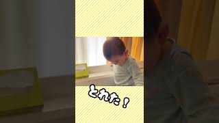 イタズラした後のニヤニヤがかわいい赤ちゃん👶　#赤ちゃん #赤ちゃんのいる生活 #baby #shorts