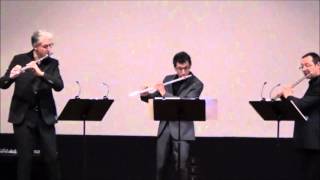 Kaspar Kummer Trio Op.52 Allegretto con moto