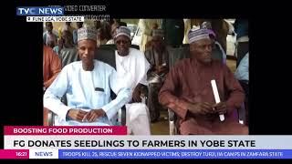 FG Donates Seedlings To Farmers In Yobe State