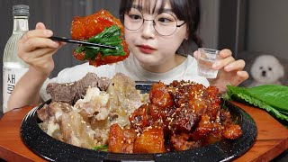 식감천재 소힘줄찜에 소주한잔 먹방😋 Braised Beef Tendon Mukbang ASMR