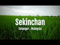 Wonderful Sekinchan Day Trip - The Rice Bowl of Selangor, Malaysia