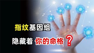 指纹竟是基因里的诅咒？人类指纹奥秘被科学家破解，斗和簸箕有何秘密【小红虾实验室】