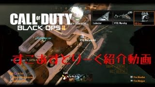 cod bo2 スコアストリーク紹介