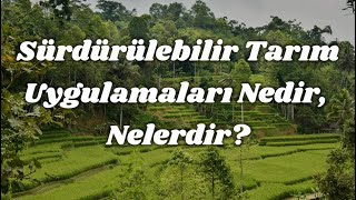 Sürdürülebilir Tarım Uygulamaları Nedir,Nelerdir?(Sustainable Agricultural Practices)