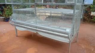 Hitech poultry cages (ഹൈടെക് കോഴിക്കൂടുകൾ