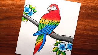 How to Draw Parrot Step by Step || Bird Scenery Drawing || Parrot Drawing || Creativity Studio.