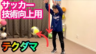 【テクダマ】サッカー技術向上用のボール【練習用ボール】