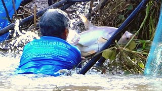 หว่านแหอ่างเก็บน้ำลำพันชาด ปลายฤดูฝน Throw a fishing net Lamphan Chad Reservoir late rainy season