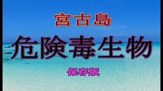 宮古島　毒の生き物図鑑　危険生物