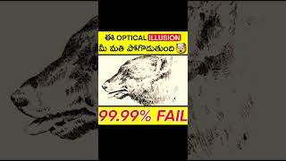 ఈ ఫోటోలో (మనిషి ముఖం) ఉంటుంది కనిపెట్టండి 🤯 #telugufacts,