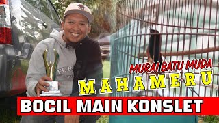 murai MAHAMERU Bocil Main Konslet murai muda main konslet murai harian full jk tanpa voer By HoBi ID