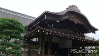 【埼玉探索】川越城本丸御殿と「とうりゃんせの唄発祥の地」三芳野神社を散策した🚶