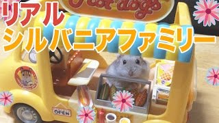 【かわいすぎ! 】生きてるハムスターのホットドック屋さん リアル・シルバニアファミリー 第1弾 Hamster in The Sylvania family