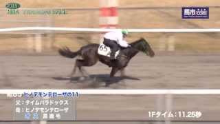 HBAトレーニングセール2013 - No.65 - ヒノデモンテローザの11