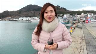 [전국을 달린다-창원] 거제로 떠나는 봄맞이 여행 (2016.02.26,금)