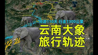 云南象群穷游轨迹：110多天行进1300多公里，大象都去过哪里？ - 云南象群穷游轨迹：110多天、行进1300多公里，大象都去过哪里？