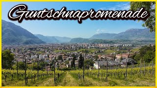 Bolzano: Hike on the Guntschna Promenade with Breathtaking Views