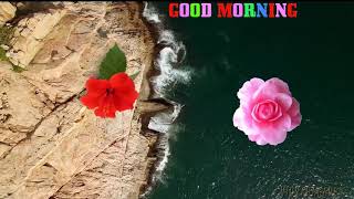 Good  Morning,,, শুধু তোমার জন্য,,, শুভ সকাল