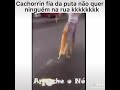 Cachorrinho filha da puta