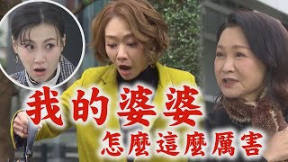 【一家團圓】EP257 不滿少風陪伴雅芳..何麗來亂被雲雀修理 建民爸欠錢突然消失不見│Family Reunion