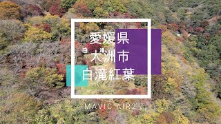 愛媛県白滝紅葉 -MAVIC AIR2-