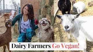 Goat Dairy Farmers Go Vegan! Sanctuary at Soledad 🐑🐷🐮❤️