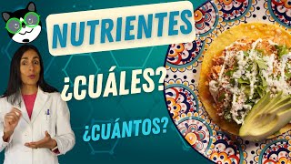 Calcula el Valor Nutricional de tus Recetas: Guía Práctica📝🍽️