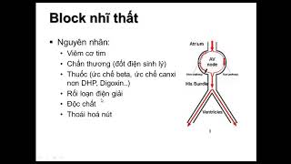 BLOCK NHĨ THẤT 2019