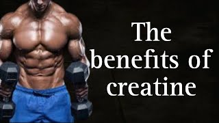 What Happens To Your Body After Taking Creatine For 30 Days?